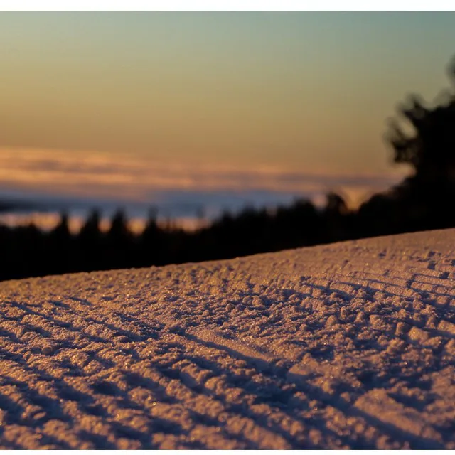 Mt. Hood Meadows — 10895497 1595545800666615 1713934989 n
