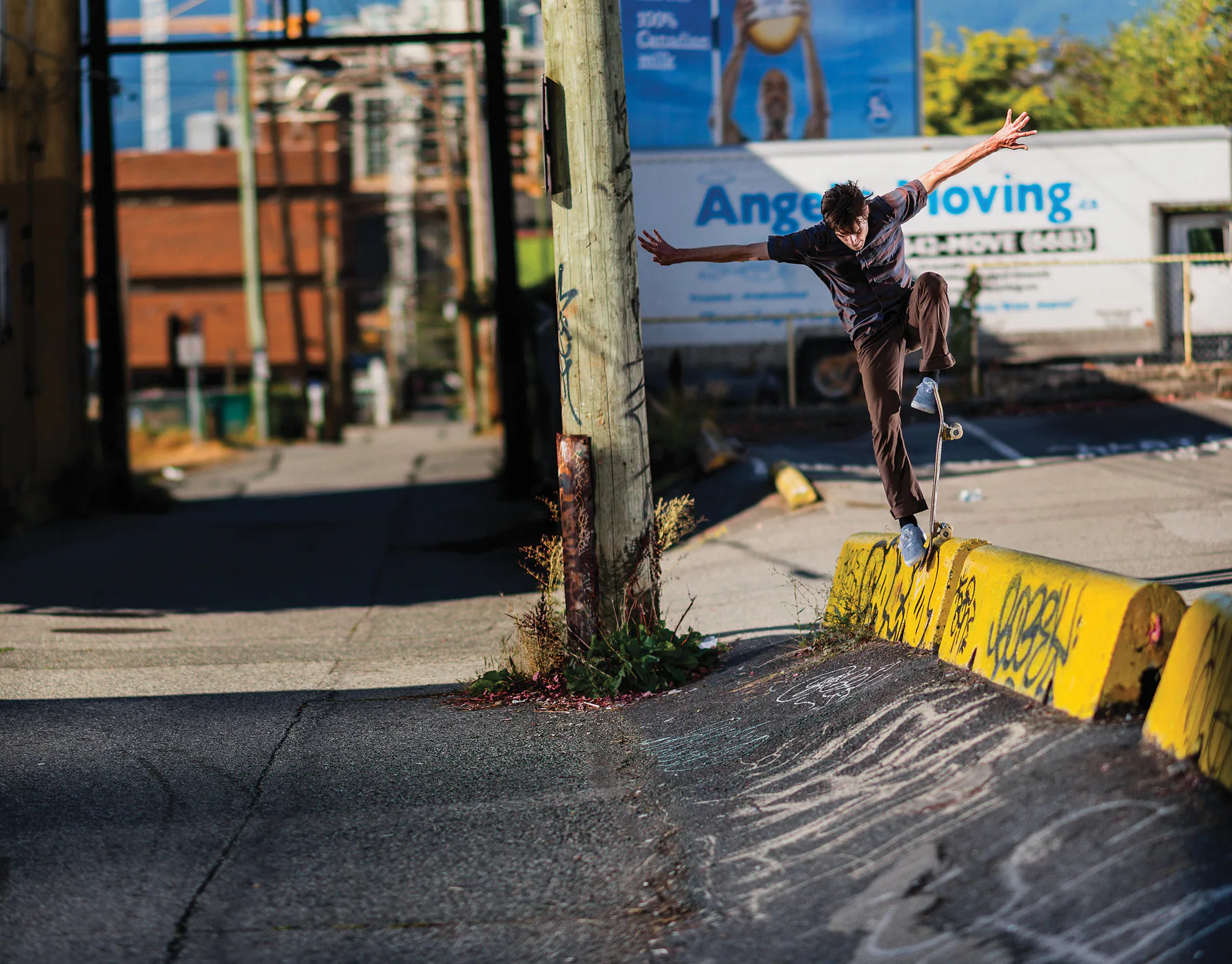 adidas Skateboarding — ADIDAS SELECTS 1 2