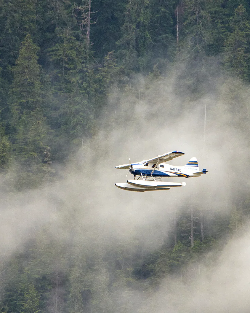 Alaska Seaplanes — Beaver Amongst Trees and Fog