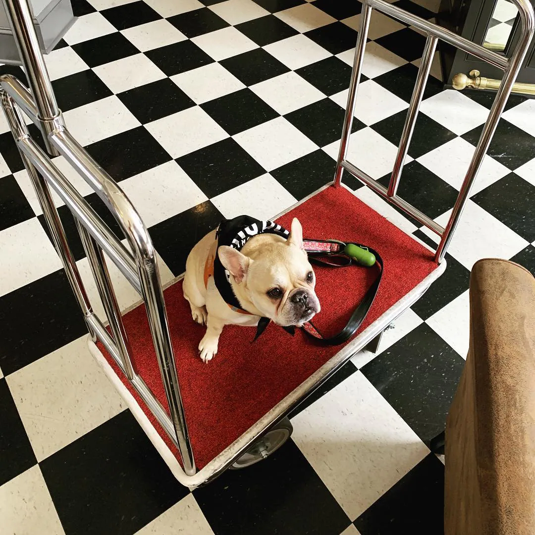 Hood River Hotel — Dog Cart