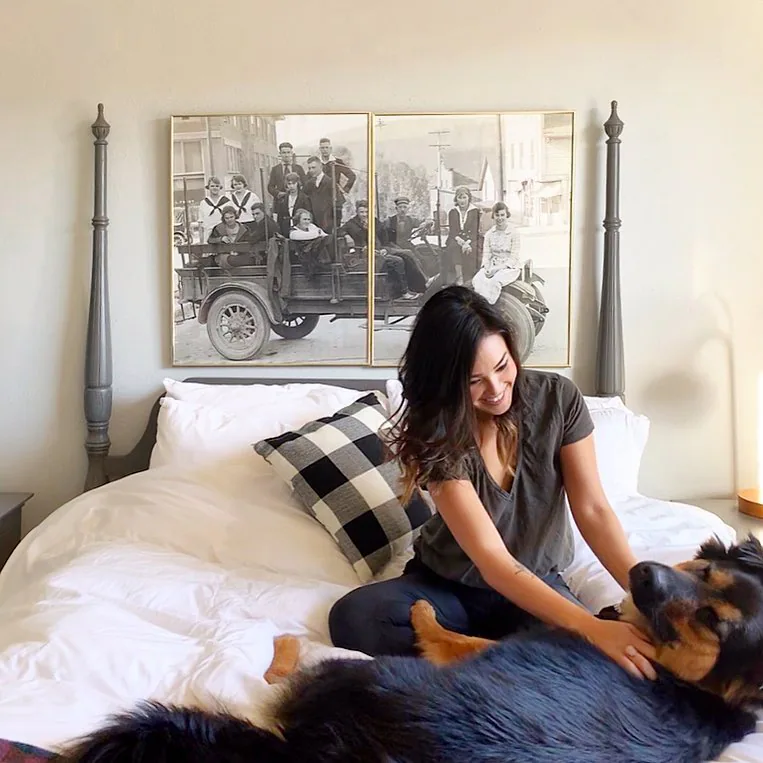Hood River Hotel — Dog